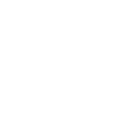 Export Link